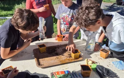 Exploitation pédagogique de la saison de l’automne, Maternelle