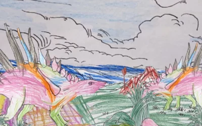 Les contes en vidéo