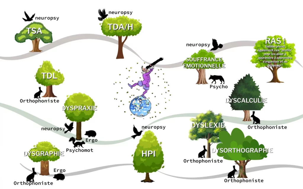 Schéma illustrant différents profils d'élèves : TSA, TDAH, troubles dys (dyslexie, dyspraxie, dysorthographie, dyscalculie, dysgraphie), haut potentiel intellectuel et difficultés émotionnelles