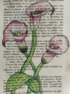 Composition artistique réalisée par des élèves autour d’illustrations florales sur livre ancien dans une démarche de créativité et de valorisation des talents.